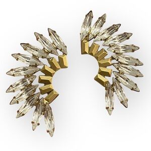 176 Elizabeth Cole Earrings